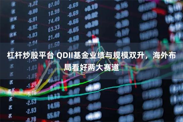 杠杆炒股平台 QDII基金业绩与规模双升，海外布局看好两大赛道